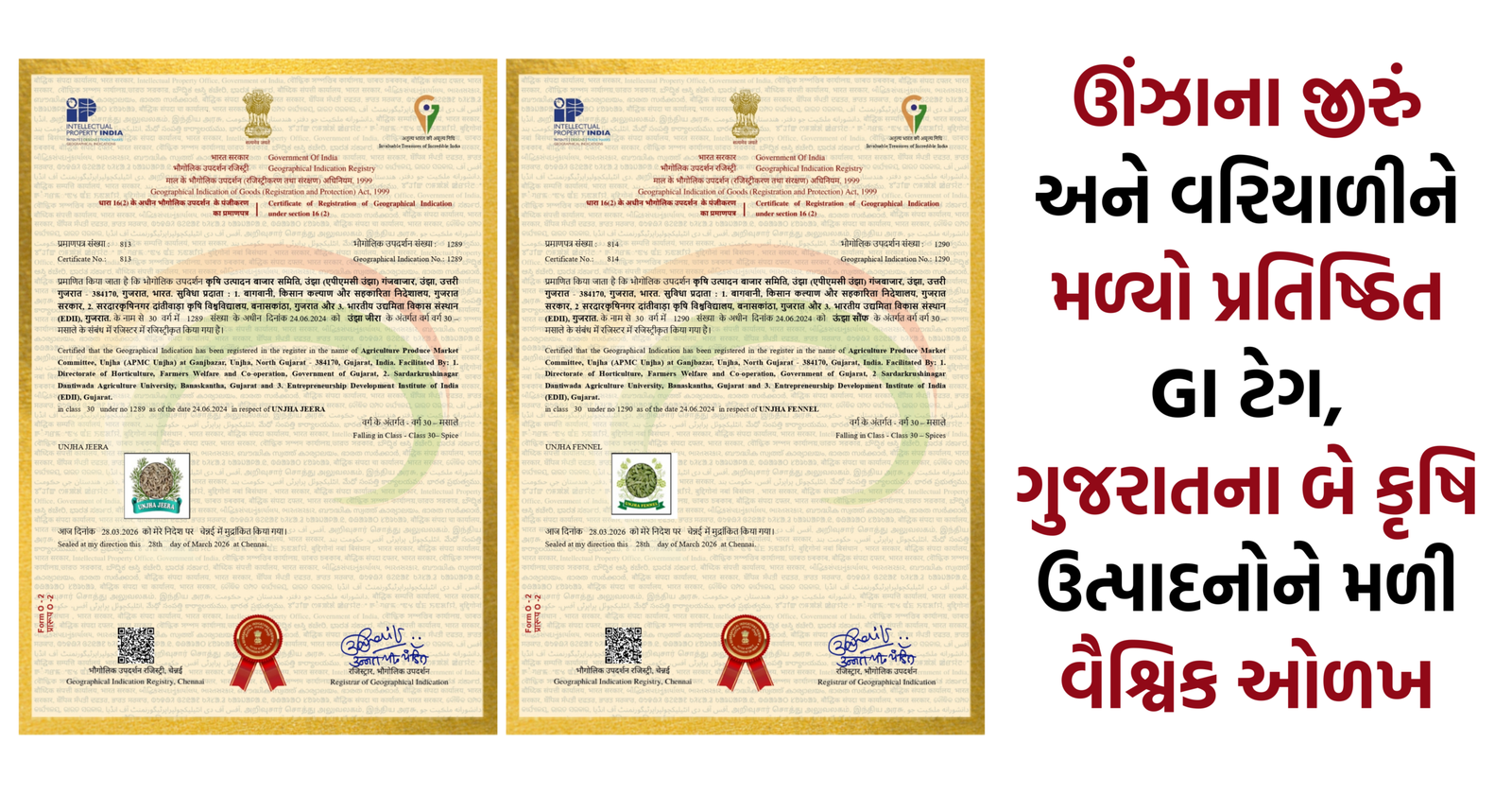 Unjha Jeera & Unjha Fennel GI Tag 2026