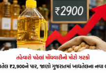 Groundnut Oil Price: તહેવારો પહેલાં મોંઘવારીનો મોટો ઝટકો! સિંગતેલ ₹2,900ને પાર, જાણો ગુજરાતમાં ખાદ્યતેલના નવા ભાવ Groundnut Oil Price