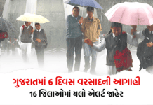 ગુજરાતમાં 6 દિવસ વરસાદની આગાહી, 16 જિલાઓમાં યલો એલર્ટ જાહેર – Gujarat Weather Forecast