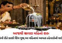 આજથી શ્રાવણ મહિનો શરુ, જાણો કેવી રીતે કરશો શિવ પૂજા અને આ મહિનામાં આવતા તહેવારોની યાદી – Shrawan