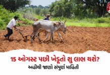 15 ઓગસ્ટ પછી ખેડૂતોની શુ લાભ થશે?, અહીથી જાણો સંપુર્ણ માહિતી – Yojana For Farmer Yojana For Farmer